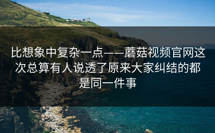 比想象中复杂一点——蘑菇视频官网这次总算有人说透了原来大家纠结的都是同一件事