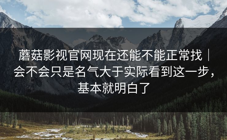 蘑菇影视官网现在还能不能正常找｜会不会只是名气大于实际看到这一步，基本就明白了
