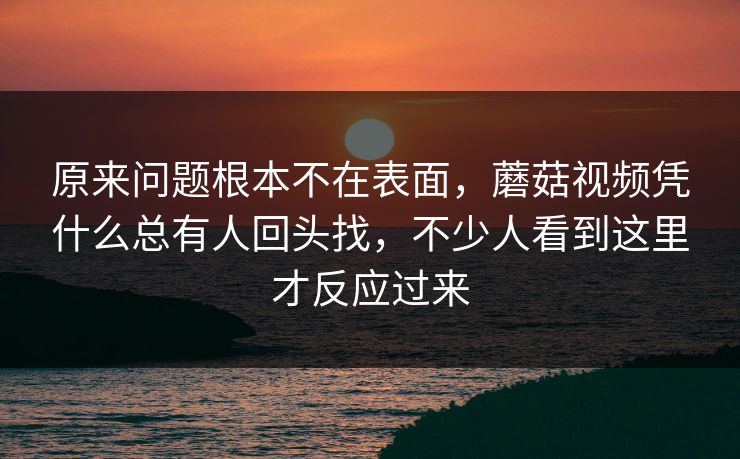 原来问题根本不在表面，蘑菇视频凭什么总有人回头找，不少人看到这里才反应过来