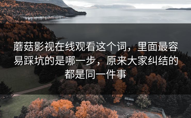 蘑菇影视在线观看这个词，里面最容易踩坑的是哪一步，原来大家纠结的都是同一件事