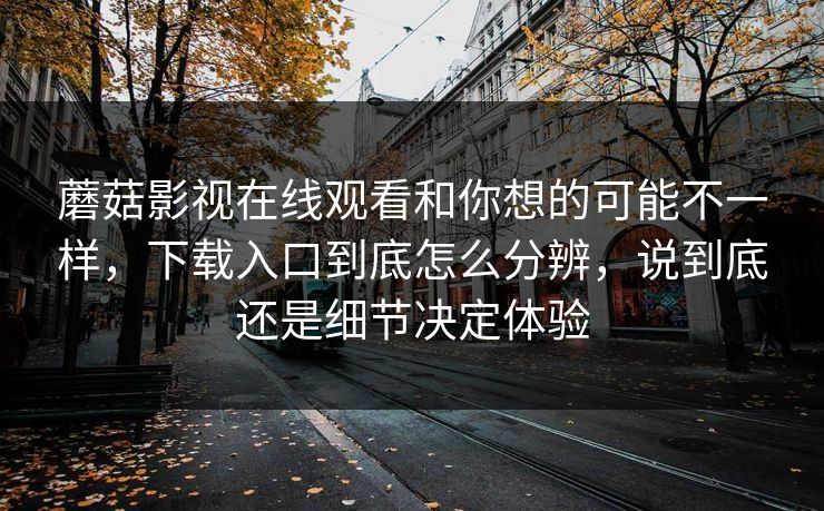 蘑菇影视在线观看和你想的可能不一样，下载入口到底怎么分辨，说到底还是细节决定体验