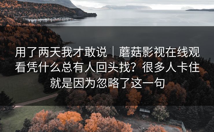 用了两天我才敢说｜蘑菇影视在线观看凭什么总有人回头找？很多人卡住就是因为忽略了这一句