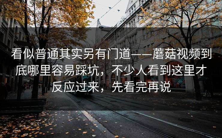 看似普通其实另有门道——蘑菇视频到底哪里容易踩坑，不少人看到这里才反应过来，先看完再说