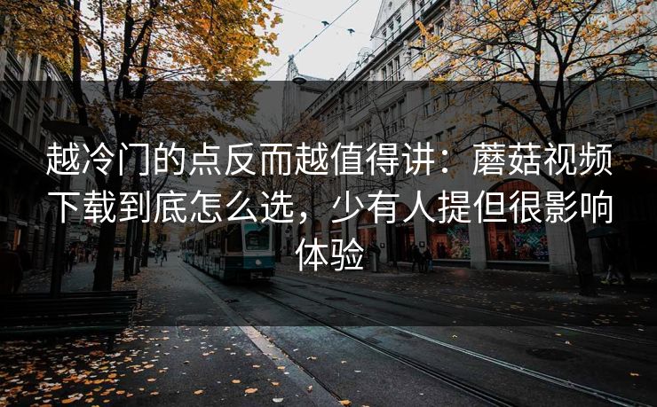 越冷门的点反而越值得讲：蘑菇视频下载到底怎么选，少有人提但很影响体验