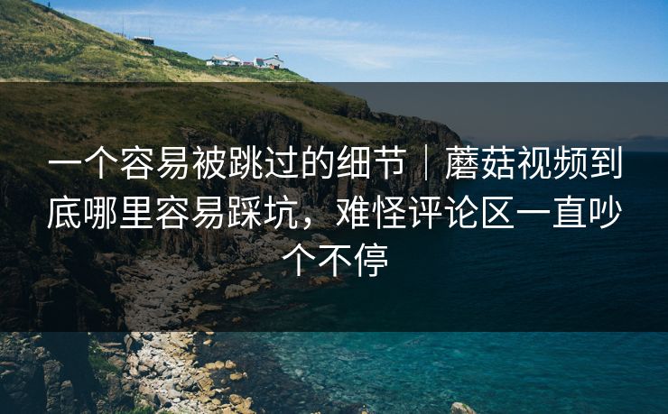一个容易被跳过的细节｜蘑菇视频到底哪里容易踩坑，难怪评论区一直吵个不停