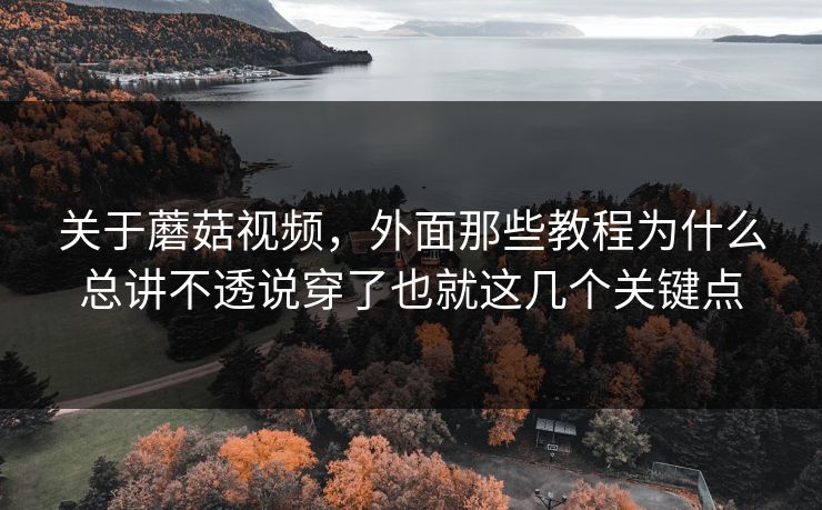 关于蘑菇视频，外面那些教程为什么总讲不透说穿了也就这几个关键点
