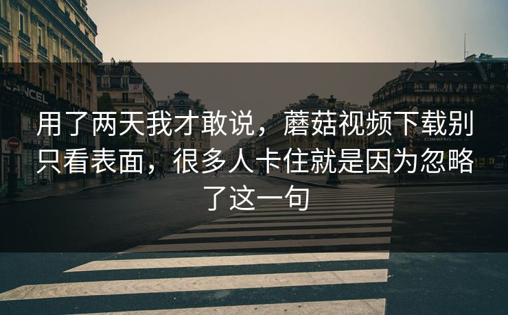 用了两天我才敢说，蘑菇视频下载别只看表面，很多人卡住就是因为忽略了这一句