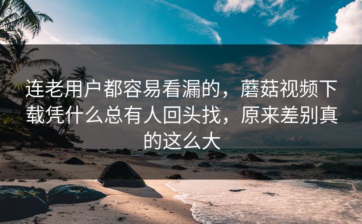 连老用户都容易看漏的,蘑菇视频下载凭什么总有人回头找,原来差别真的这么大 连老用户都容易看漏的,蘑菇视频下载凭什么总有人回头找,原来差别真的这么大
