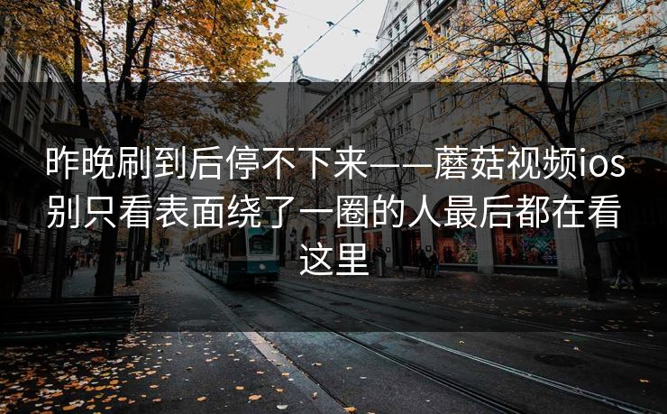 昨晚刷到后停不下来——蘑菇视频ios别只看表面绕了一圈的人最后都在看这里