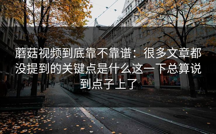 蘑菇视频到底靠不靠谱:很多文章都没提到的关键点是什么这一下总算说到点子上了 蘑菇视频到底靠不靠谱:很多文章都没提到的关键点是什么这一下总算说到点子上了